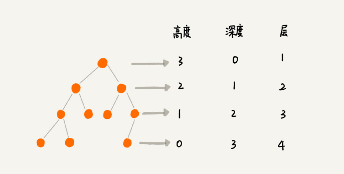 普通二叉树